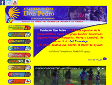 Tablet Screenshot of fundaciondonpedro.org